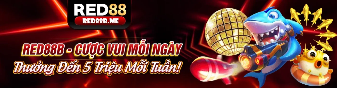 Chương trình VIP bkwin app
